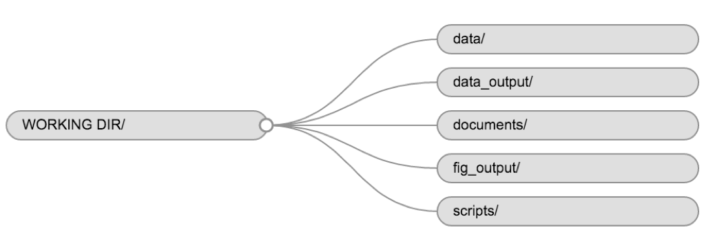 Example of a working directory structure